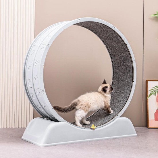 Manufacturer Wholesale Stable Running Wheel Cat Treadmill Exercise Cat Running Wheel Treadmill Fun Interactive Pet Toys Manufacturer Wholesale Stable Running Wheel Cat Treadmill Exercise Cat Running Wheel Treadmill Fun Interactive Pet Toys